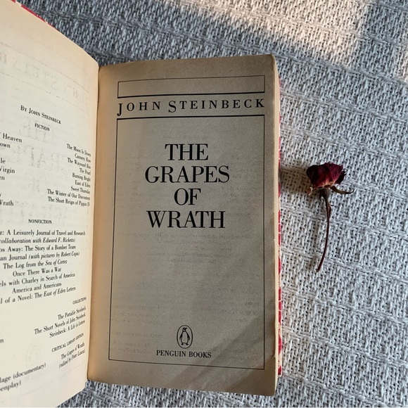 The Grapes of Wrath John Steinbeck Re-Covered Upcycled Vintage Classic Book - Picture 5 of 7